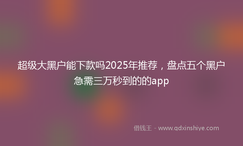 超级大黑户能下款吗2025年推荐，盘点五个黑户急需三万秒到的的app