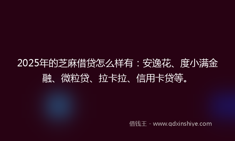 2025年的芝麻借贷怎么样有：安逸花、度小满金融、微粒贷、拉卡拉、信用卡贷等。