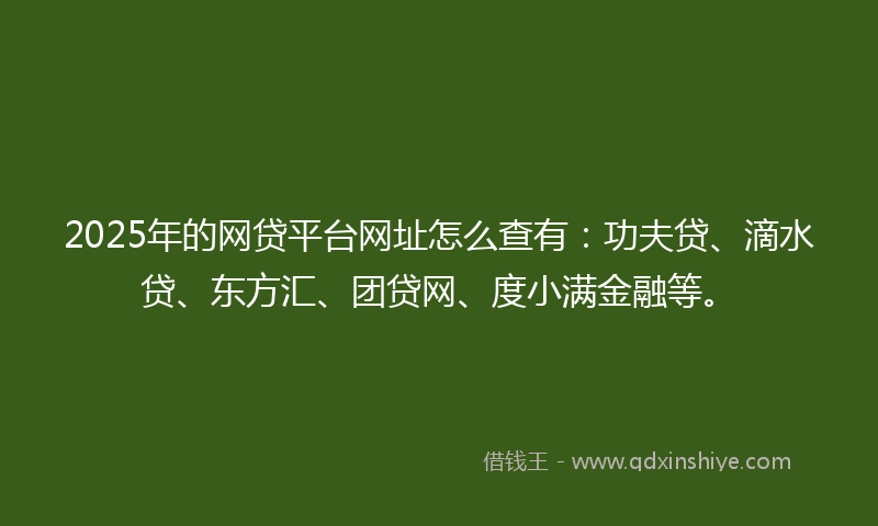 2025年的网贷平台网址怎么查有：功夫贷、滴水贷、东方汇、团贷网、度小满金融等。
