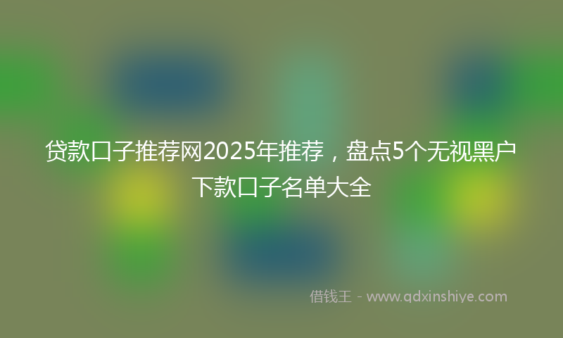 贷款口子推荐网2025年推荐，盘点5个无视黑户下款口子名单大全