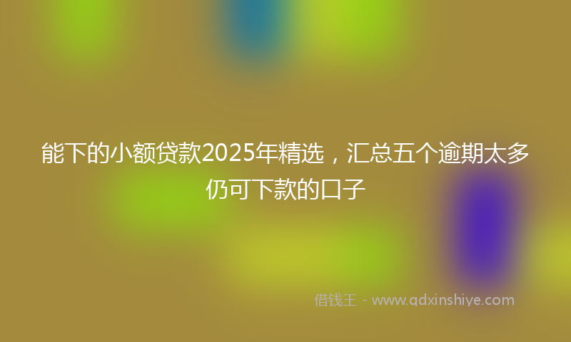 能下的小额贷款2025年精选，汇总五个逾期太多仍可下款的口子