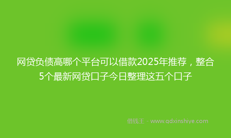 网贷负债高哪个平台可以借款2025年推荐，整合5个最新网贷口子今日整理这五个口子