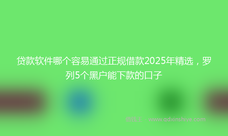贷款软件哪个容易通过正规借款2025年精选，罗列5个黑户能下款的口子
