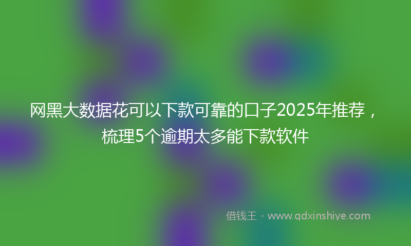 网黑大数据花可以下款可靠的口子2025年推荐，梳理5个逾期太多能下款软件