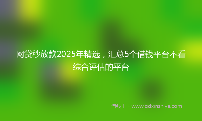 网贷秒放款2025年精选，汇总5个借钱平台不看综合评估的平台