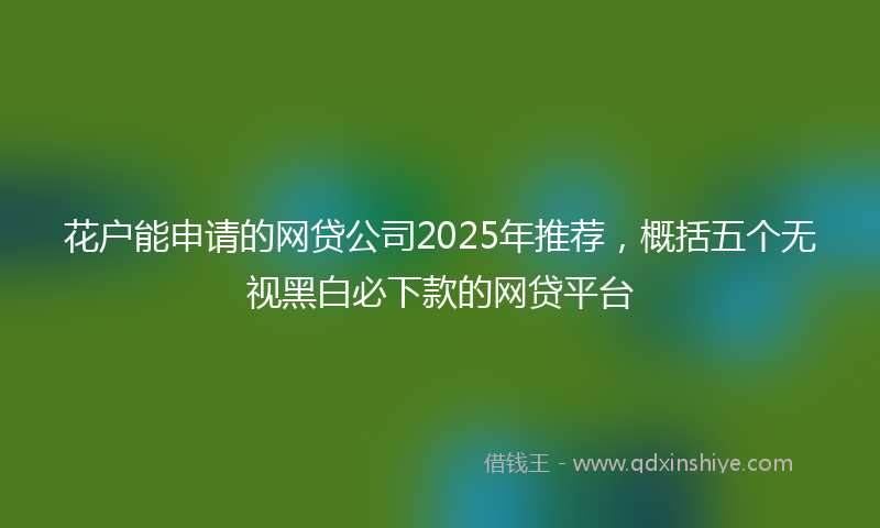 花户能申请的网贷公司2025年推荐，概括五个无视黑白必下款的网贷平台