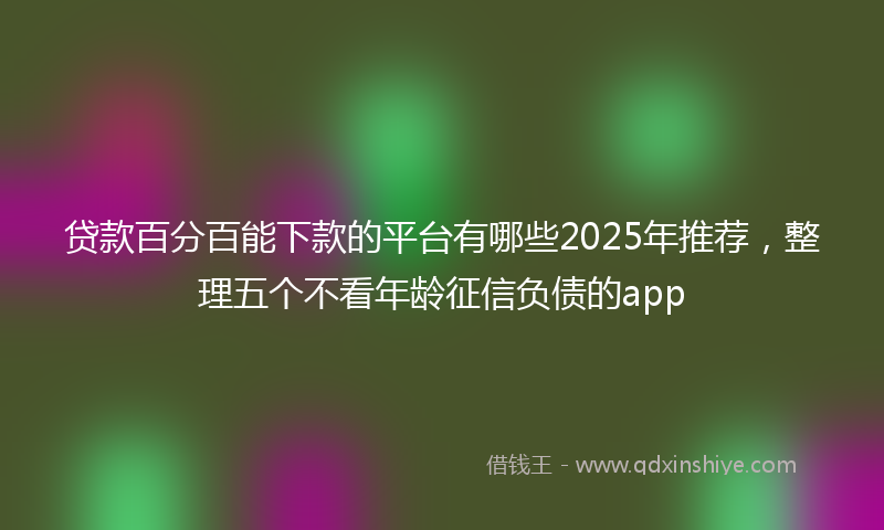 贷款百分百能下款的平台有哪些2025年推荐，整理五个不看年龄征信负债的app