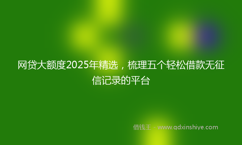 网贷大额度2025年精选，梳理五个轻松借款无征信记录的平台