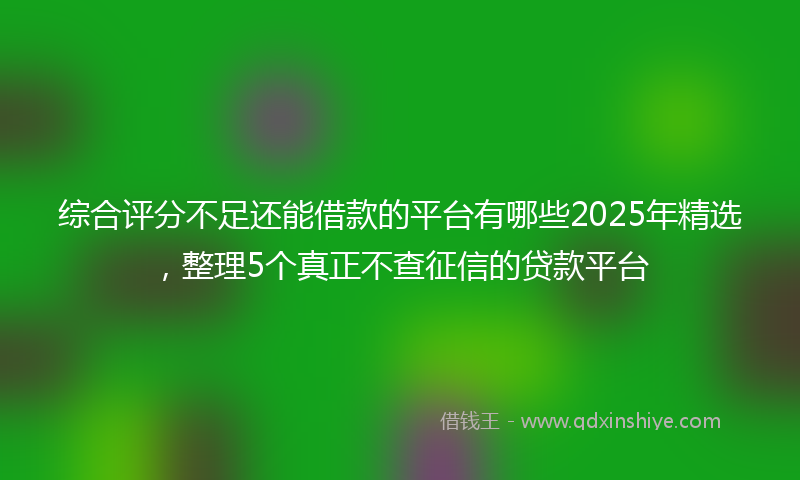 综合评分不足还能借款的平台有哪些2025年精选，整理5个真正不查征信的贷款平台