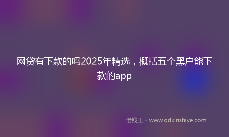 网贷有下款的吗2025年精选，概括五个黑户能下款的app