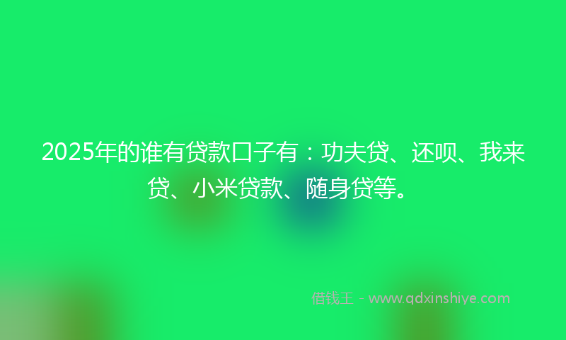 2025年的谁有贷款口子有：功夫贷、还呗、我来贷、小米贷款、随身贷等。