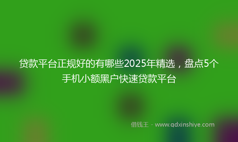 贷款平台正规好的有哪些2025年精选，盘点5个手机小额黑户快速贷款平台