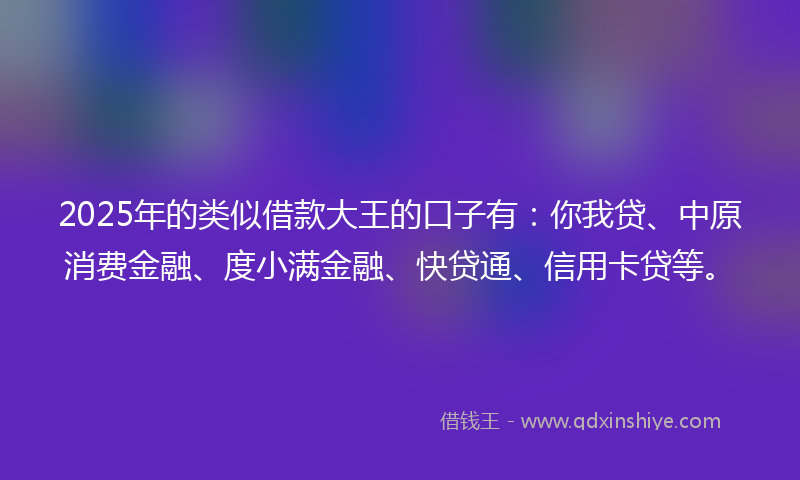2025年的类似借款大王的口子有：你我贷、中原消费金融、度小满金融、快贷通、信用卡贷等。