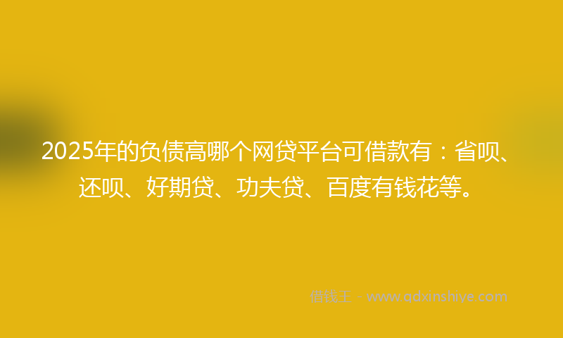 2025年的负债高哪个网贷平台可借款有：省呗、还呗、好期贷、功夫贷、百度有钱花等。