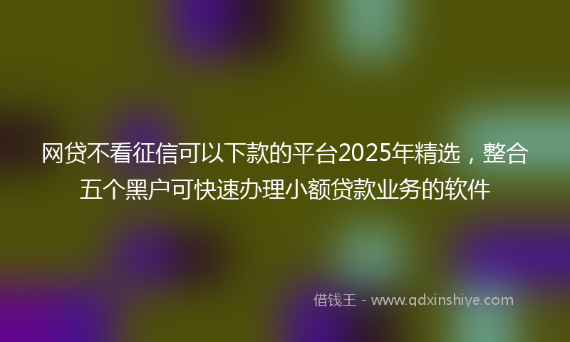 网贷不看征信可以下款的平台2025年精选，整合五个黑户可快速办理小额贷款业务的软件