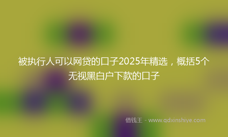 被执行人可以网贷的口子2025年精选，概括5个无视黑白户下款的口子