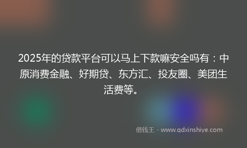 2025年的贷款平台可以马上下款嘛安全吗有：中原消费金融、好期贷、东方汇、投友圈、美团生活费等。