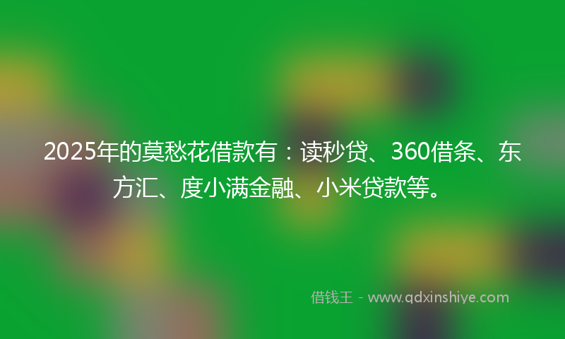 2025年的莫愁花借款有：读秒贷、360借条、东方汇、度小满金融、小米贷款等。