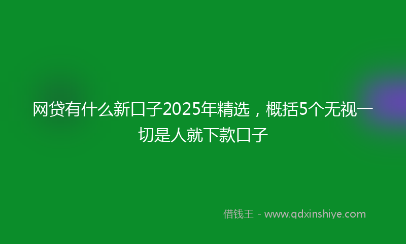 网贷有什么新口子2025年精选，概括5个无视一切是人就下款口子