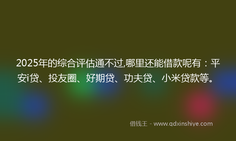 2025年的综合评估通不过,哪里还能借款呢有：平安i贷、投友圈、好期贷、功夫贷、小米贷款等。