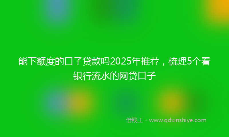 能下额度的口子贷款吗2025年推荐，梳理5个看银行流水的网贷口子