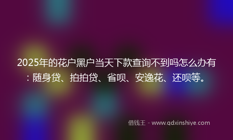 2025年的花户黑户当天下款查询不到吗怎么办有：随身贷、拍拍贷、省呗、安逸花、还呗等。