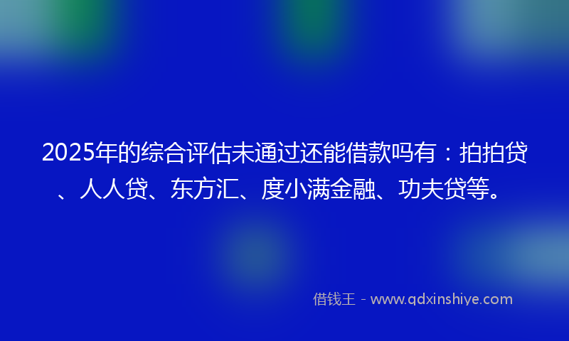 2025年的综合评估未通过还能借款吗有：拍拍贷、人人贷、东方汇、度小满金融、功夫贷等。