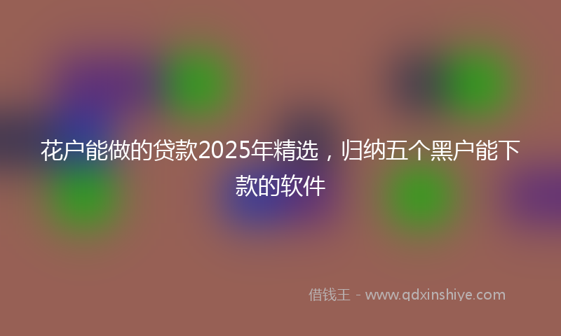 花户能做的贷款2025年精选，归纳五个黑户能下款的软件