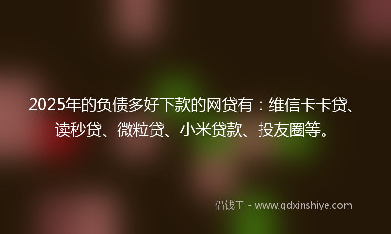2025年的负债多好下款的网贷有：维信卡卡贷、读秒贷、微粒贷、小米贷款、投友圈等。