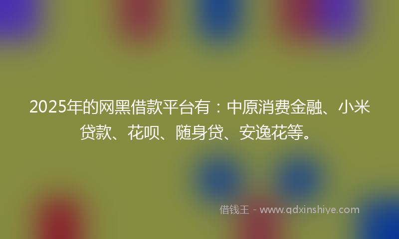 2025年的网黑借款平台有：中原消费金融、小米贷款、花呗、随身贷、安逸花等。