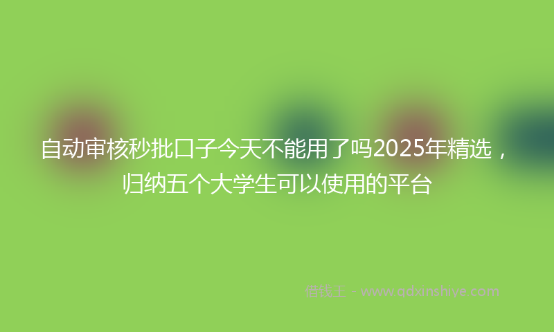 自动审核秒批口子今天不能用了吗2025年精选，归纳五个大学生可以使用的平台
