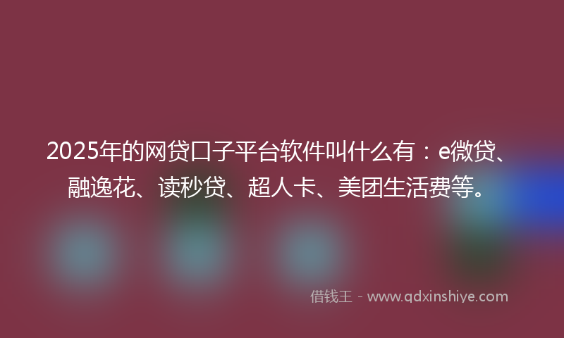 2025年的网贷口子平台软件叫什么有：e微贷、融逸花、读秒贷、超人卡、美团生活费等。