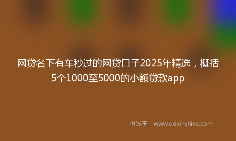 网贷名下有车秒过的网贷口子2025年精选，概括5个1000至5000的小额贷款app