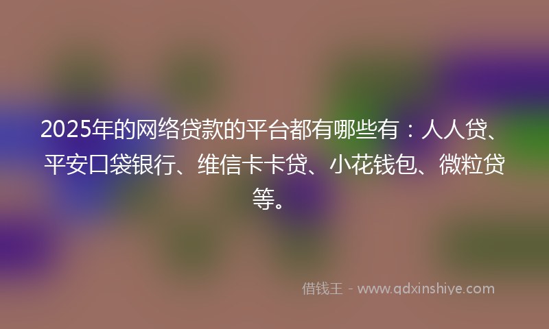 2025年的网络贷款的平台都有哪些有：人人贷、平安口袋银行、维信卡卡贷、小花钱包、微粒贷等。