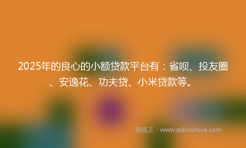 2025年的良心的小额贷款平台有：省呗、投友圈、安逸花、功夫贷、小米贷款等。