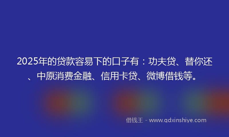 2025年的贷款容易下的口子有：功夫贷、替你还、中原消费金融、信用卡贷、微博借钱等。