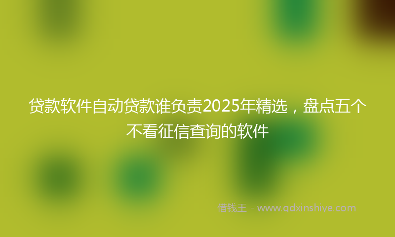 贷款软件自动贷款谁负责2025年精选，盘点五个不看征信查询的软件