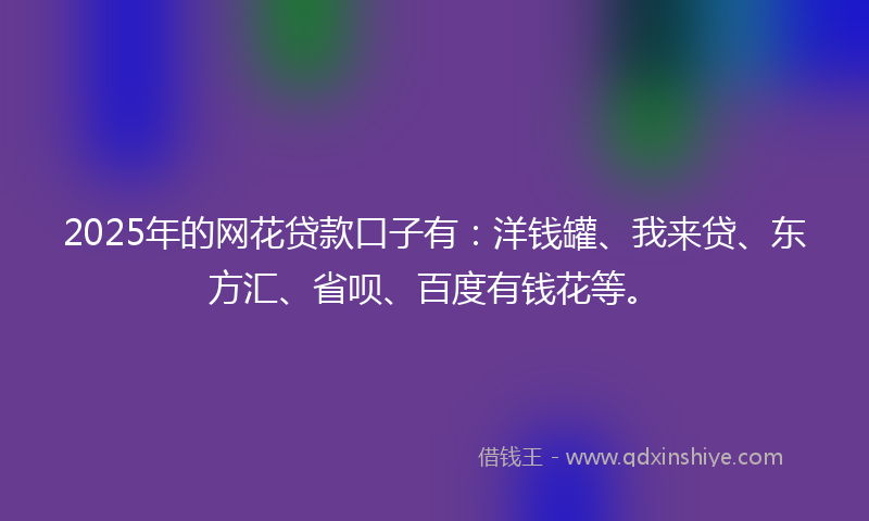 2025年的网花贷款口子有：洋钱罐、我来贷、东方汇、省呗、百度有钱花等。