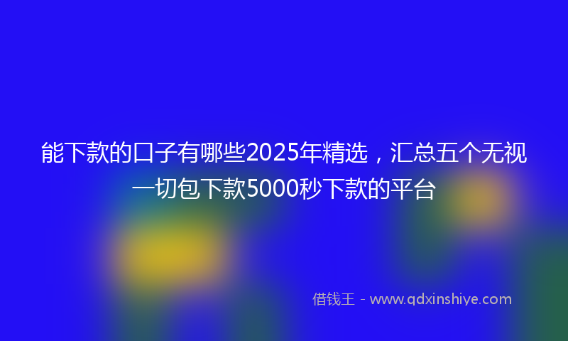 能下款的口子有哪些2025年精选，汇总五个无视一切包下款5000秒下款的平台