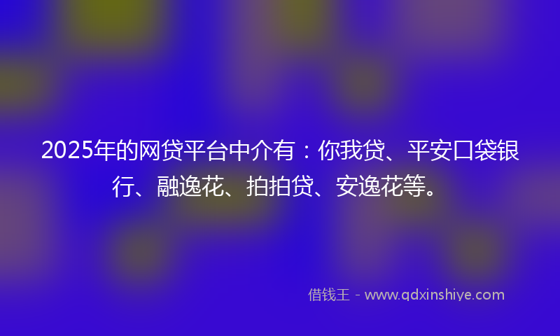 2025年的网贷平台中介有：你我贷、平安口袋银行、融逸花、拍拍贷、安逸花等。