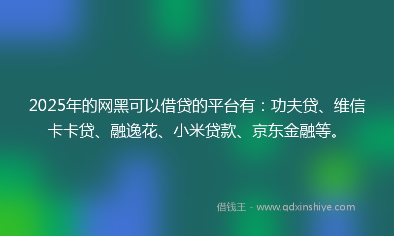 2025年的网黑可以借贷的平台有：功夫贷、维信卡卡贷、融逸花、小米贷款、京东金融等。