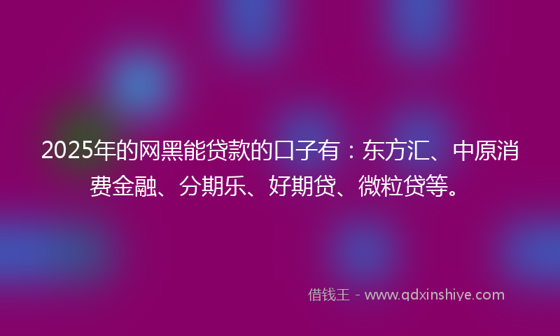 2025年的网黑能贷款的口子有：东方汇、中原消费金融、分期乐、好期贷、微粒贷等。