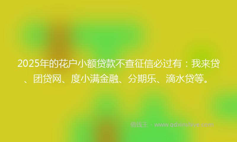 2025年的花户小额贷款不查征信必过有：我来贷、团贷网、度小满金融、分期乐、滴水贷等。