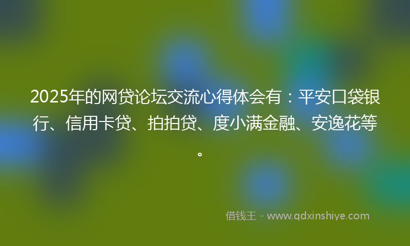 2025年的网贷论坛交流心得体会有：平安口袋银行、信用卡贷、拍拍贷、度小满金融、安逸花等。