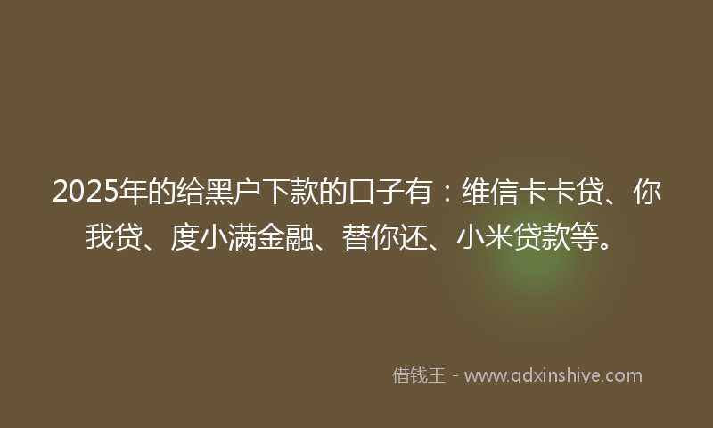 2025年的给黑户下款的口子有：维信卡卡贷、你我贷、度小满金融、替你还、小米贷款等。