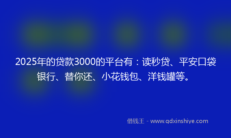 2025年的贷款3000的平台有：读秒贷、平安口袋银行、替你还、小花钱包、洋钱罐等。