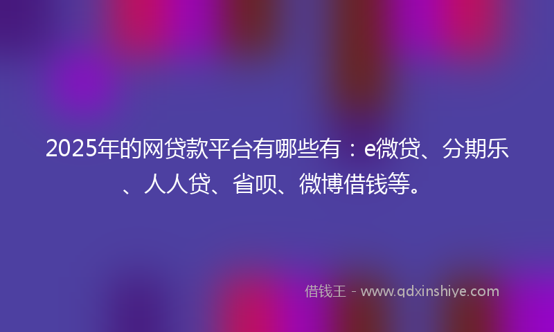 2025年的网贷款平台有哪些有：e微贷、分期乐、人人贷、省呗、微博借钱等。