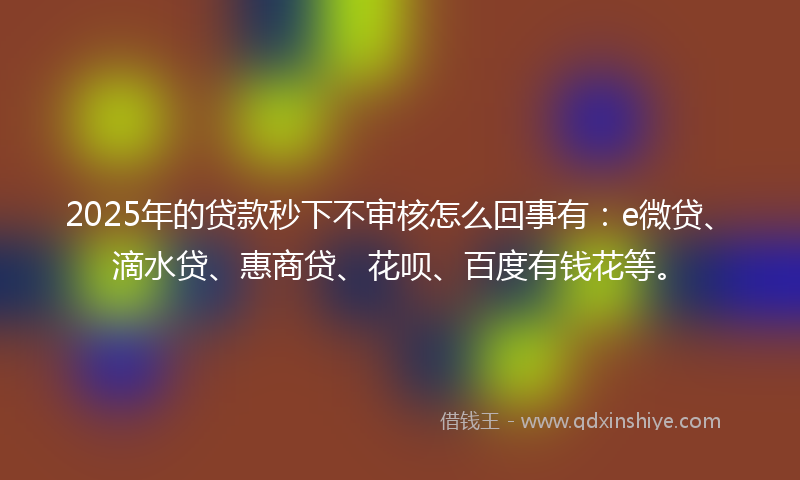 2025年的贷款秒下不审核怎么回事有：e微贷、滴水贷、惠商贷、花呗、百度有钱花等。