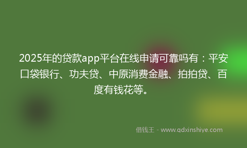 2025年的贷款app平台在线申请可靠吗有：平安口袋银行、功夫贷、中原消费金融、拍拍贷、百度有钱花等。