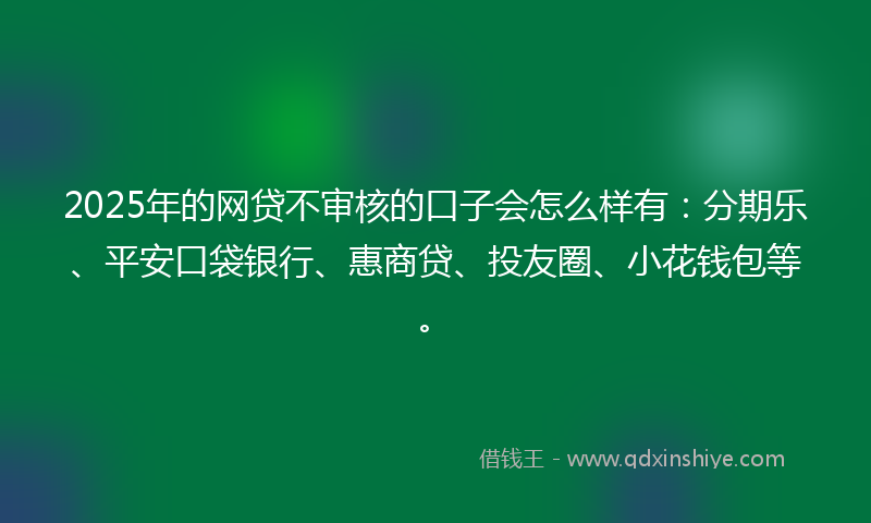 2025年的网贷不审核的口子会怎么样有：分期乐、平安口袋银行、惠商贷、投友圈、小花钱包等。